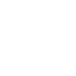 BioRestorative Therapies, Inc. logo