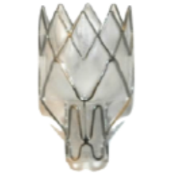 Pulmonx Corporation logo