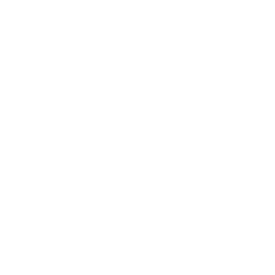 Platinum Group Metals Ltd. logo